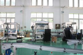 فیکٹری کا نظارہ